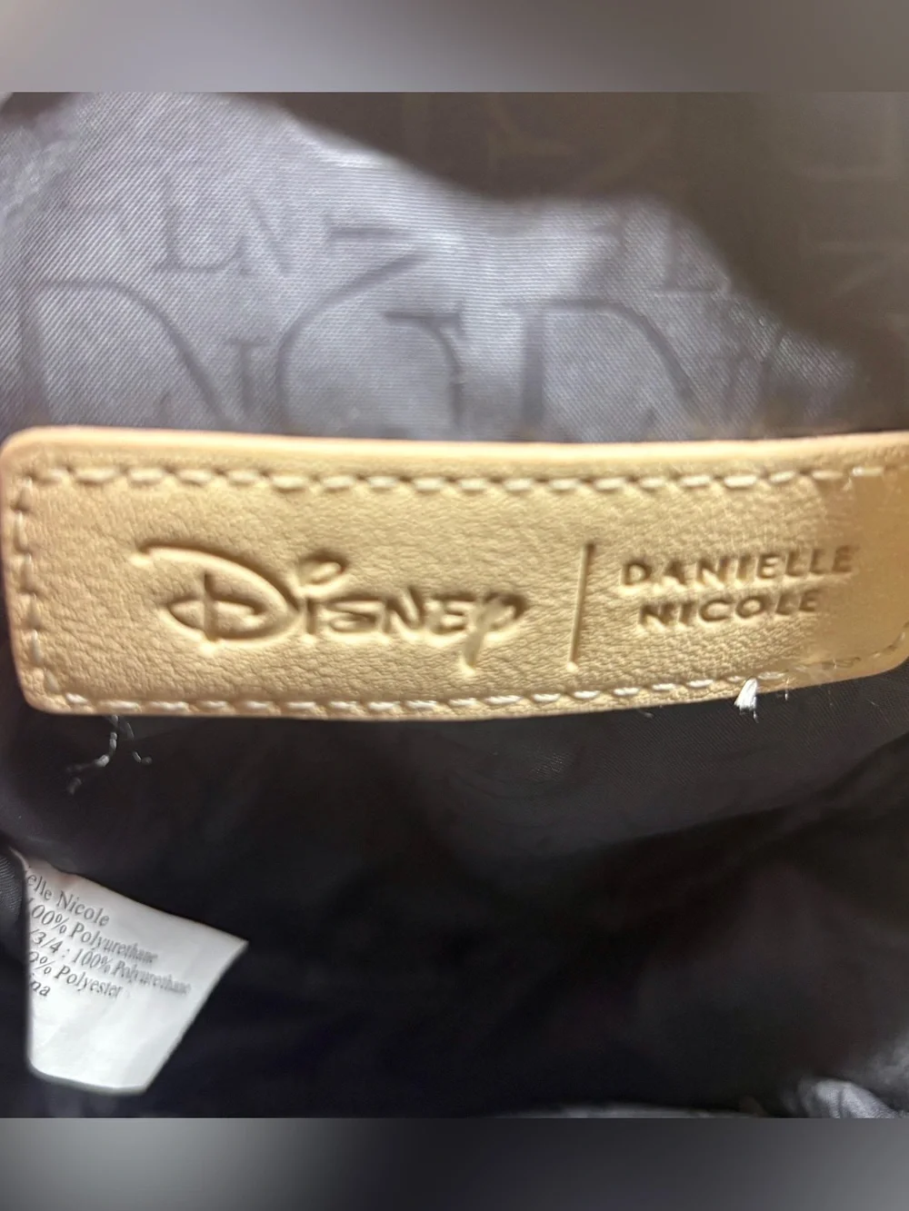 Disney charming daniel